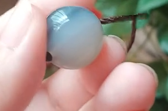玉髓玻璃种和高冰怎么区分