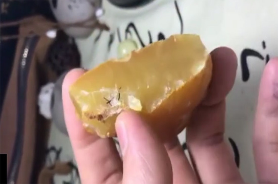 蜜蜡是什么