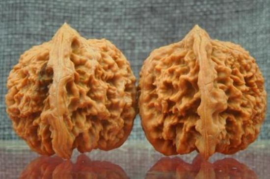 文玩核桃品种